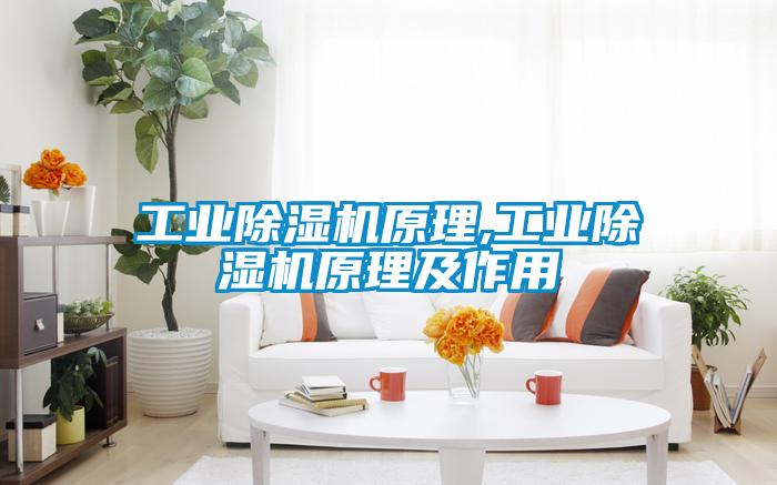 工业麻豆视频黄网站原理,工业麻豆视频黄网站原理及作用