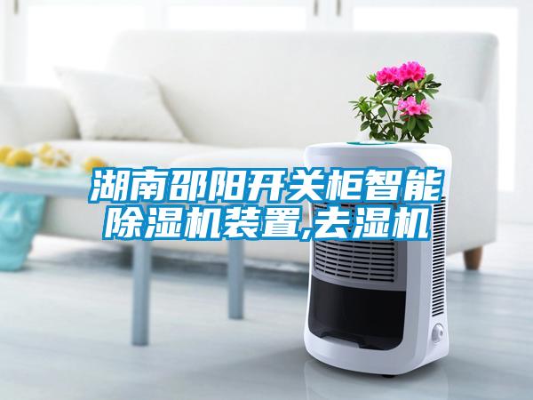 湖南邵阳开关柜智能麻豆视频黄网站装置,去湿机