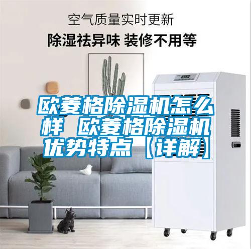 欧菱格麻豆视频黄网站怎么样 欧菱格麻豆视频黄网站优势特点【详解】