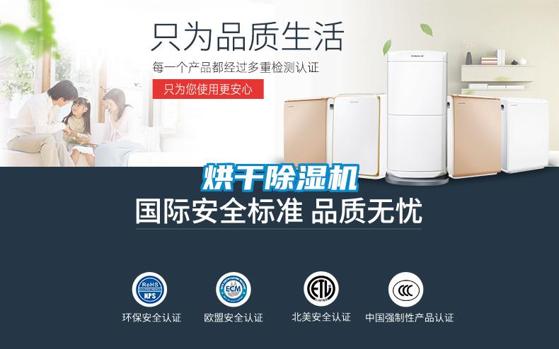 烘干麻豆视频黄网站