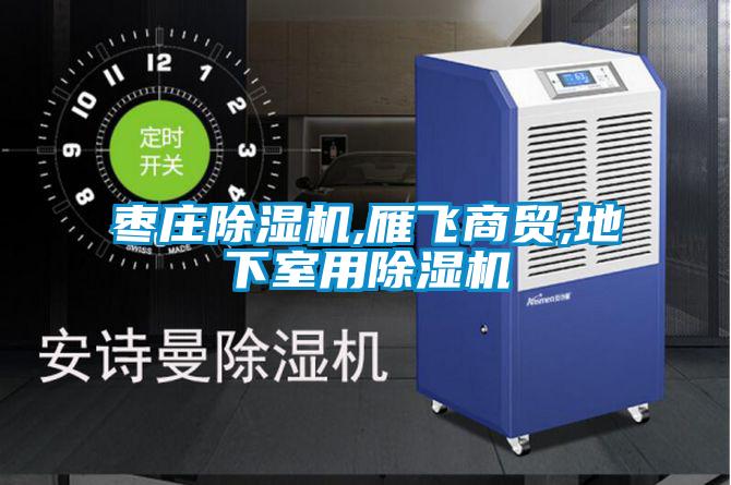 枣庄麻豆视频黄网站,雁飞商贸,地下室用麻豆视频黄网站