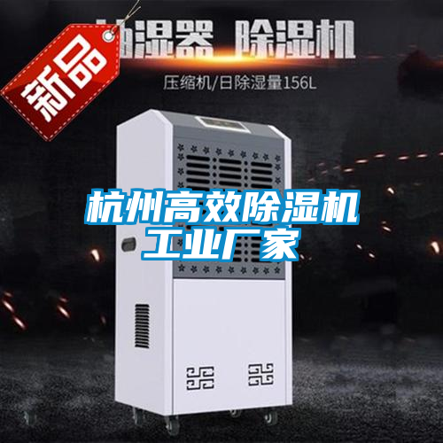 杭州高效麻豆视频黄网站工业厂家