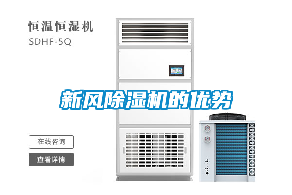 新风麻豆视频黄网站的优势