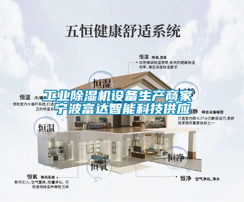 工业麻豆视频黄网站设备生产商家 宁波富达智能科技供应