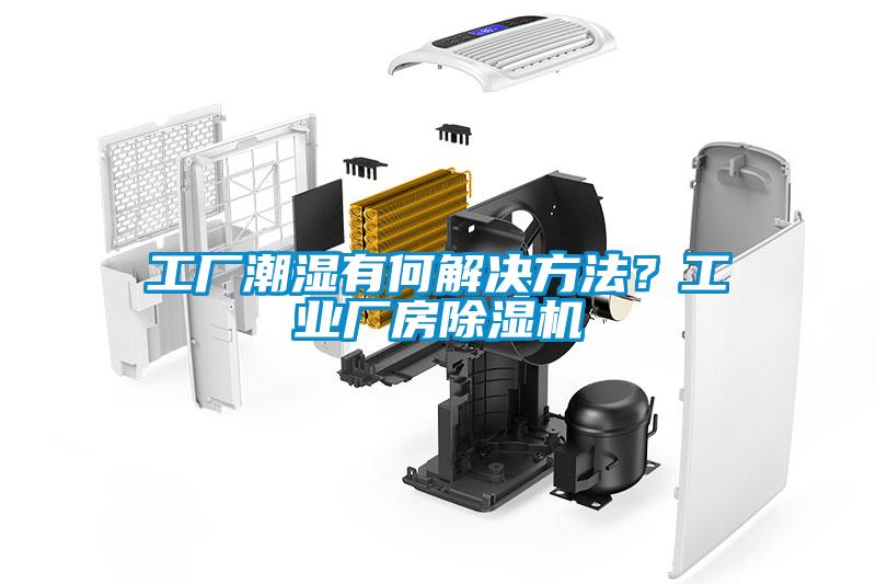 工厂潮湿有何解决方法？工业厂房麻豆视频黄网站
