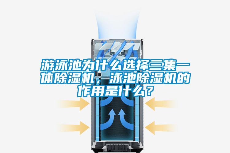 游泳池为什么选择三集一体麻豆视频黄网站，泳池麻豆视频黄网站的作用是什么？