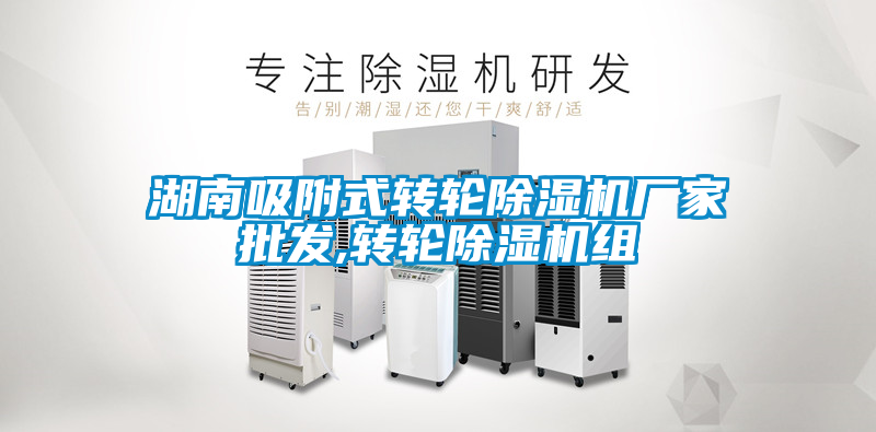 湖南吸附式转轮麻豆视频黄网站厂家批发,转轮麻豆视频黄网站组