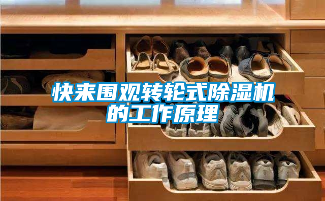 快来围观转轮式麻豆视频黄网站的工作原理