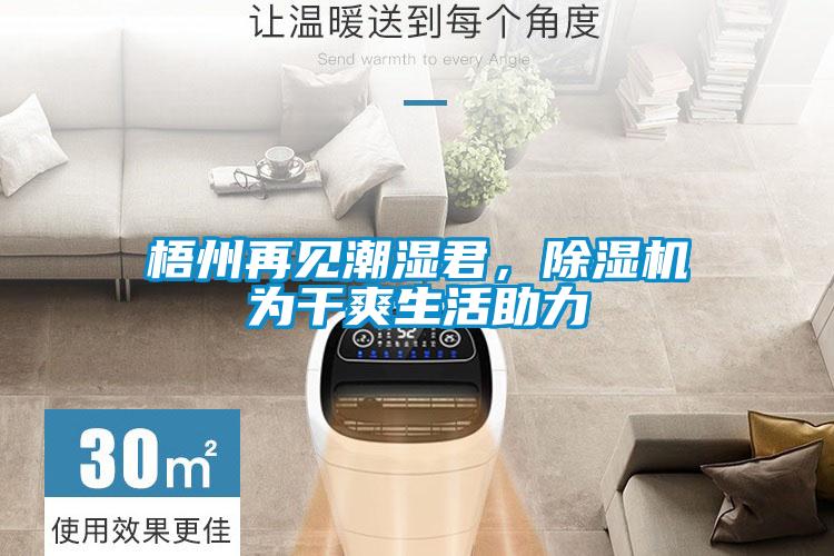 梧州再见潮湿君，麻豆视频黄网站为干爽生活助力