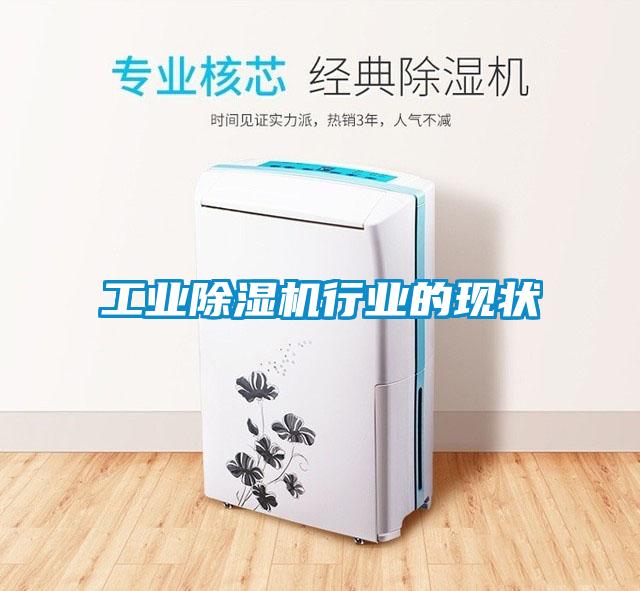 工业麻豆视频黄网站行业的现状