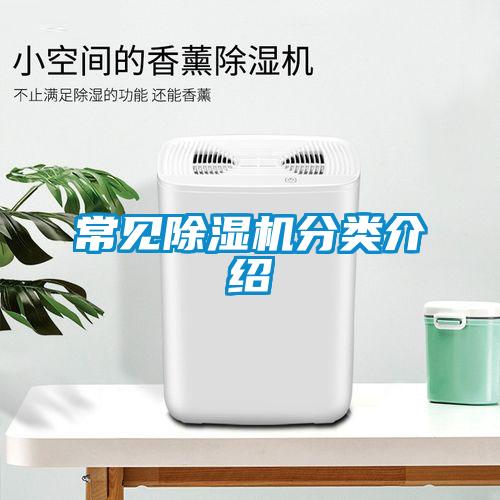 常见麻豆视频黄网站分类介绍