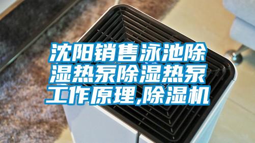 沈阳销售泳池除湿热泵除湿热泵工作原理,麻豆视频黄网站