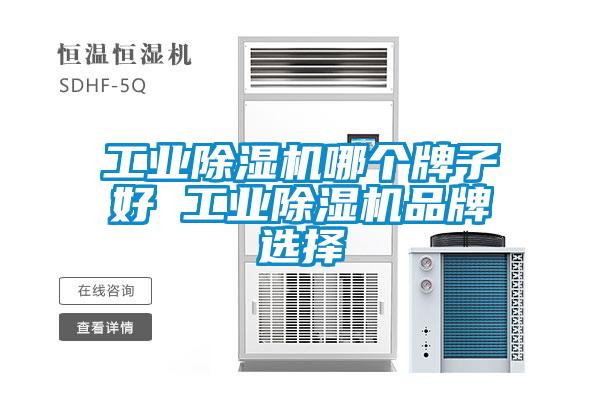 工业麻豆视频黄网站哪个牌子好 工业麻豆视频黄网站品牌选择