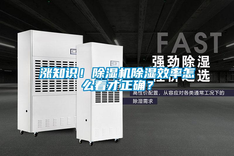 涨知识！麻豆视频黄网站除湿效率怎么看才正确？