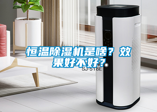 恒温麻豆视频黄网站是啥？效果好不好？