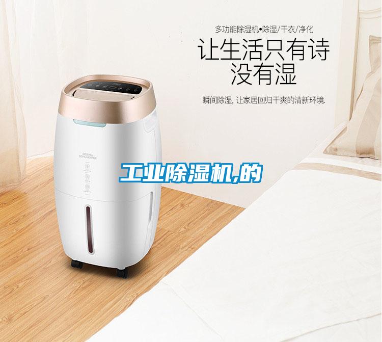 工业麻豆视频黄网站,的