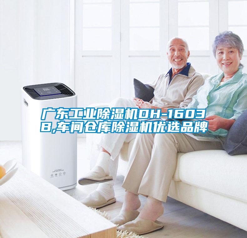 广东工业麻豆视频黄网站DH-1603B,车间仓库麻豆视频黄网站优选品牌