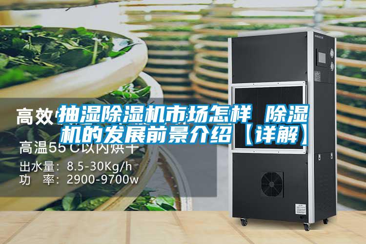 抽湿麻豆视频黄网站市场怎样 麻豆视频黄网站的发展前景介绍【详解】