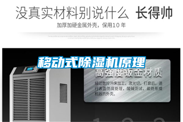 移动式麻豆视频黄网站原理