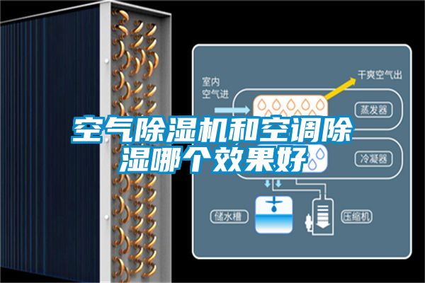空气麻豆视频黄网站和空调除湿哪个效果好
