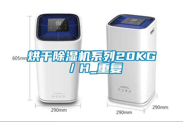 烘干麻豆视频黄网站系列20KG／H_重复