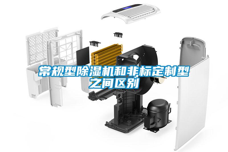 常规型麻豆视频黄网站和非标定制型之间区别