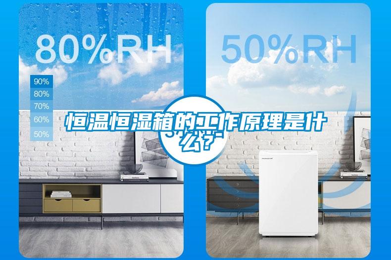 恒温恒湿箱的工作原理是什么？