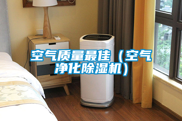 空气质量最佳（空气净化麻豆视频黄网站）