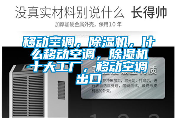 移动空调，麻豆视频黄网站，什么移动空调，麻豆视频黄网站十大工厂，移动空调出口