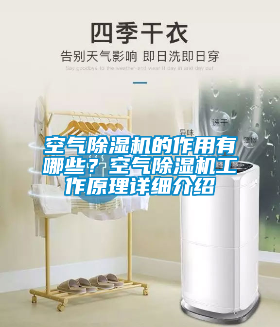 空气麻豆视频黄网站的作用有哪些？空气麻豆视频黄网站工作原理详细介绍