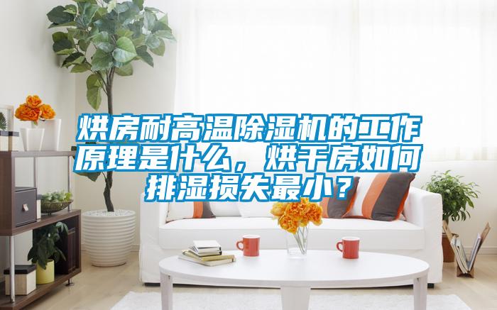 烘房耐高温麻豆视频黄网站的工作原理是什么，烘干房如何排湿损失最小？