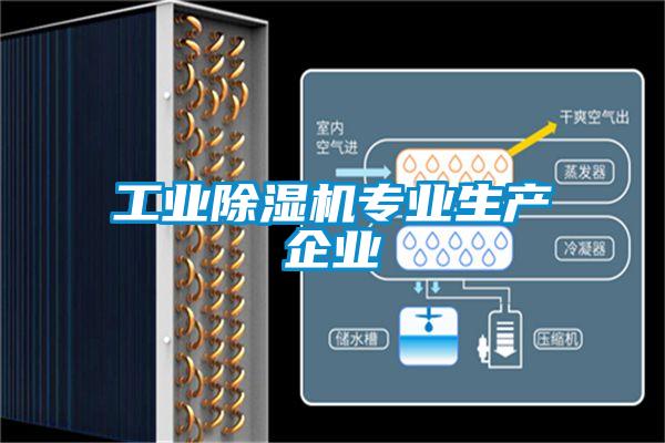 工业麻豆视频黄网站专业生产企业