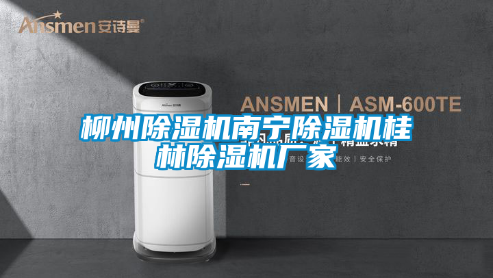 柳州麻豆视频黄网站南宁麻豆视频黄网站桂林麻豆视频黄网站厂家