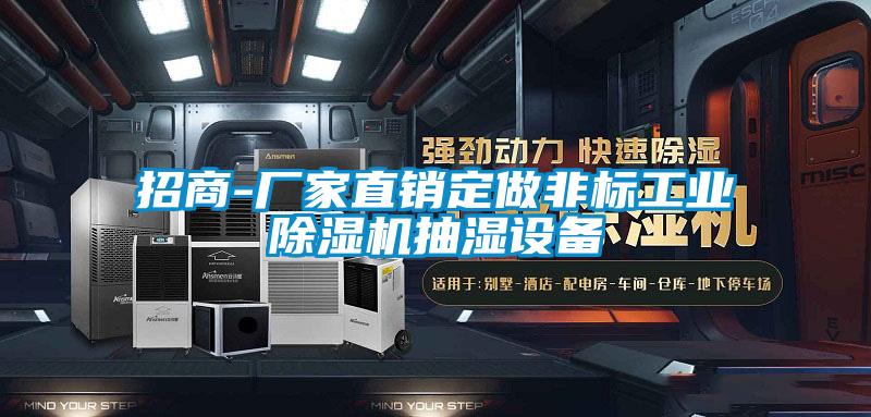 招商-厂家直销定做非标工业麻豆视频黄网站抽湿设备