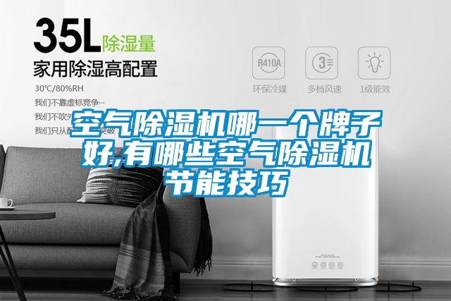 空气麻豆视频黄网站哪一个牌子好,有哪些空气麻豆视频黄网站节能技巧