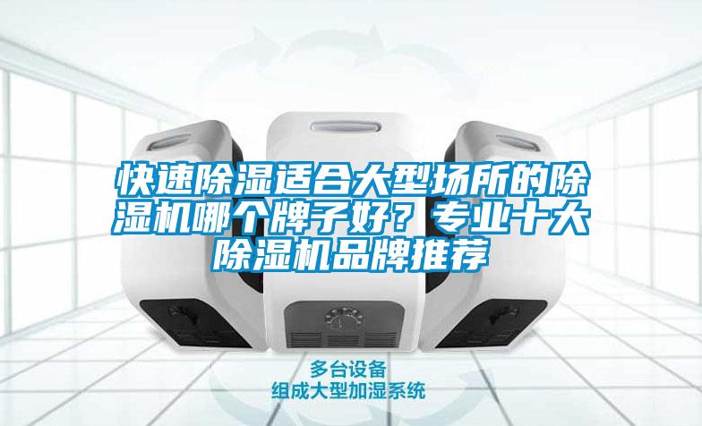 快速除湿适合大型场所的麻豆视频黄网站哪个牌子好？专业十大麻豆视频黄网站品牌推荐