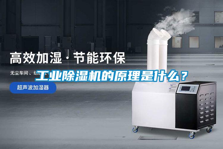 工业麻豆视频黄网站的原理是什么？