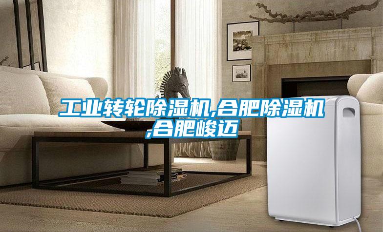 工业转轮麻豆视频黄网站,合肥麻豆视频黄网站,合肥峻迈