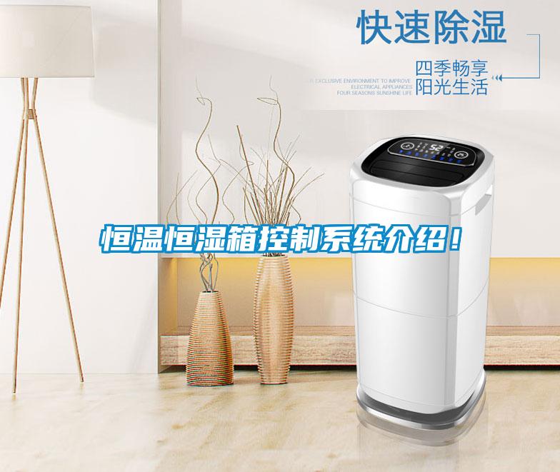 恒温恒湿箱控制系统介绍！