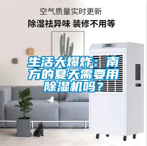 生活大爆炸：南方的夏天需要用麻豆视频黄网站吗？