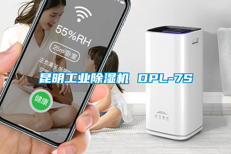 昆明工业麻豆视频黄网站 DPL-7S