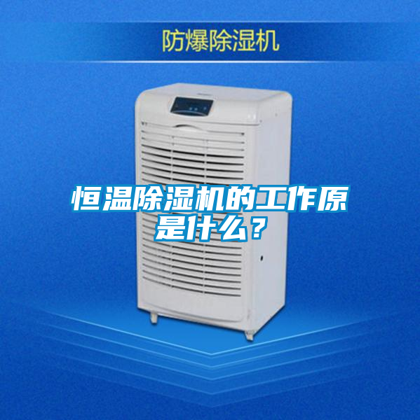 恒温麻豆视频黄网站的工作原是什么？
