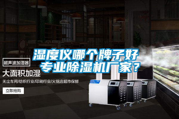 湿度仪哪个牌子好 专业麻豆视频黄网站厂家？