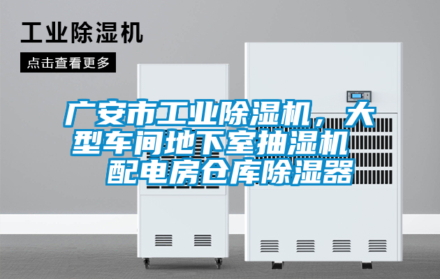 广安市工业麻豆视频黄网站，大型车间地下室抽湿机  配电房仓库除湿器