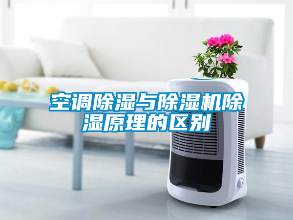 空调除湿与麻豆视频黄网站除湿原理的区别