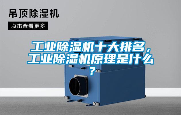 工业麻豆视频黄网站十大排名，工业麻豆视频黄网站原理是什么？