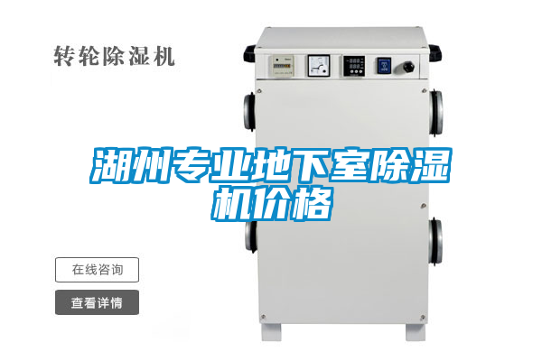 湖州专业地下室麻豆视频黄网站价格