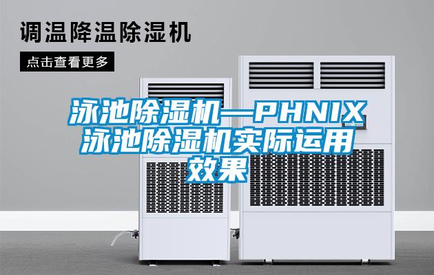 泳池麻豆视频黄网站—PHNIX泳池麻豆视频黄网站实际运用效果