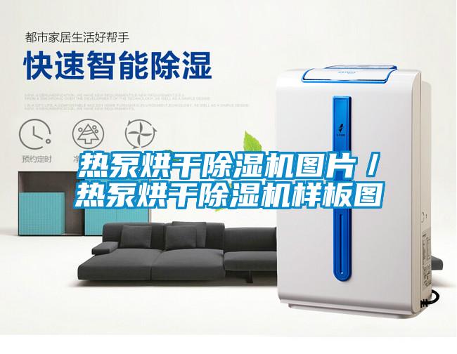 热泵烘干麻豆视频黄网站图片／热泵烘干麻豆视频黄网站样板图