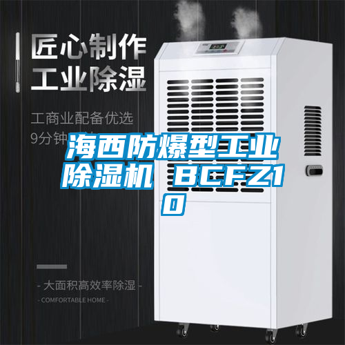 海西防爆型工业麻豆视频黄网站 BCFZ10